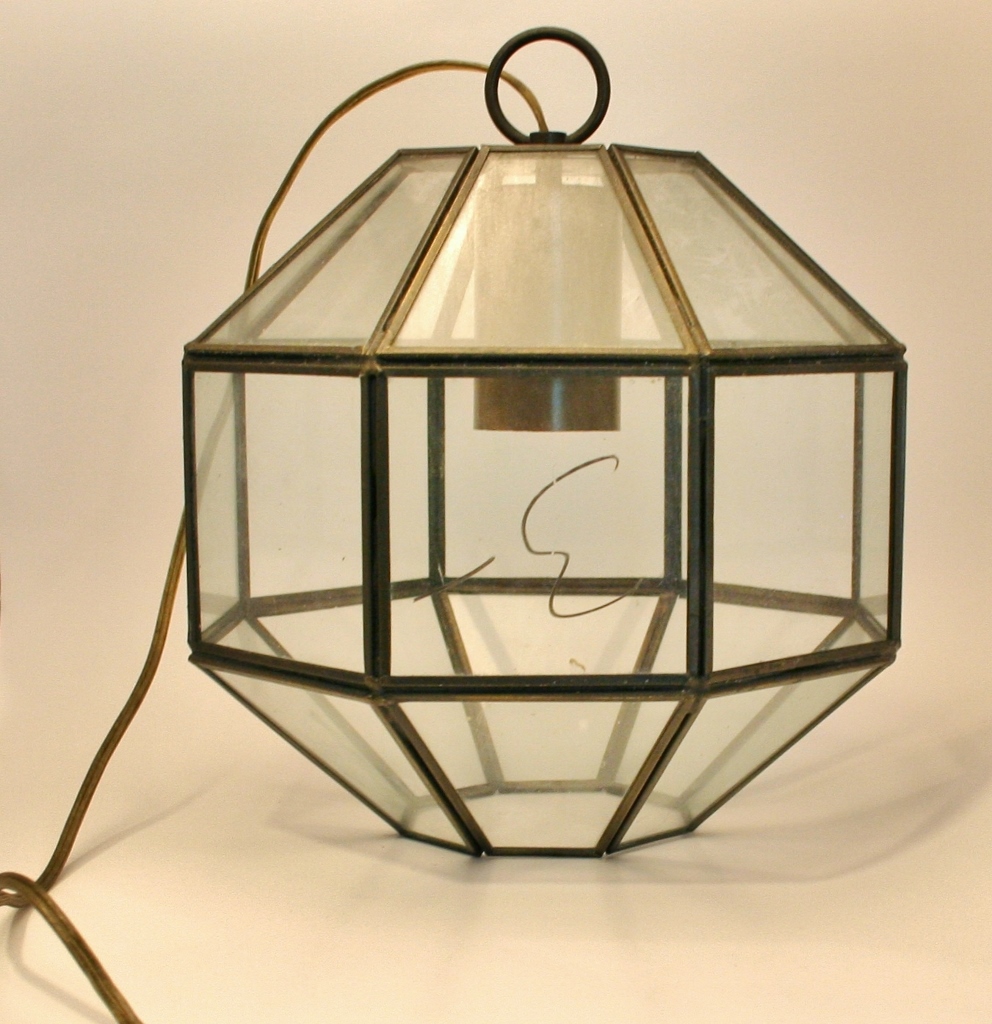 make-a-terrarium-from-a-pendant-light