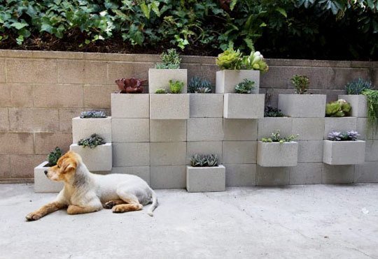 Cinder Block Planter Wall