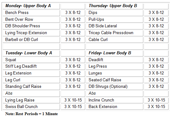 My Women's Weightlifting Routine | www.rhapsodyinrooms.com